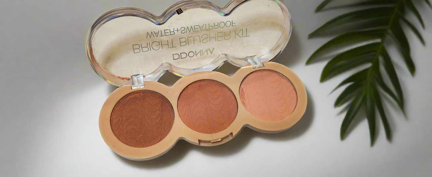 Blush "Bright blusher kit"