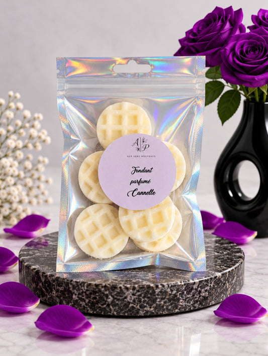 Lot de 7 fondant parfumé "Cannelle"  50g