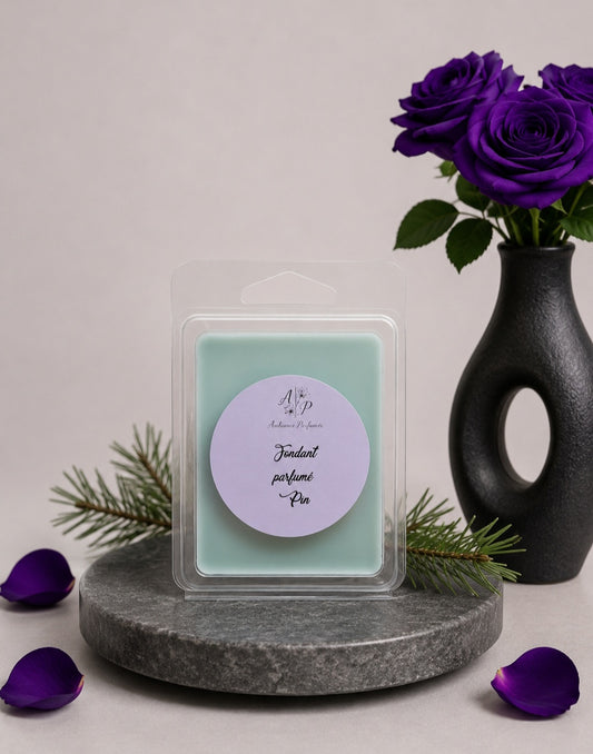 Fondant parfumé Clamshell "Pin" 60g